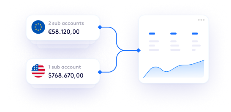 Segregated currency sub-accounts feeding into one account view